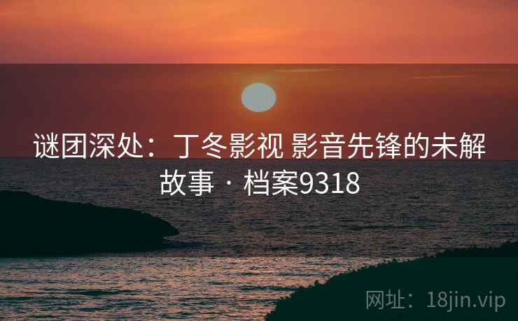 谜团深处：丁冬影视 影音先锋的未解故事 · 档案9318