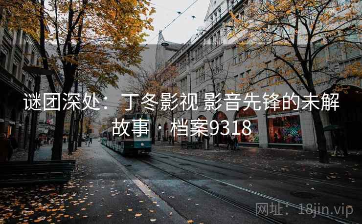 谜团深处：丁冬影视 影音先锋的未解故事 · 档案9318