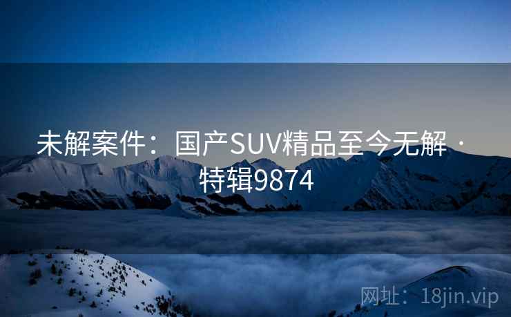 未解案件：国产SUV精品至今无解 · 特辑9874